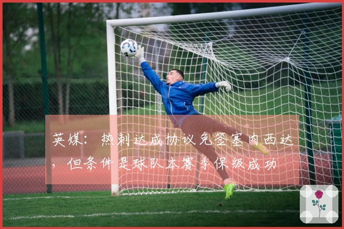 英媒：热刺达成协议免签塞内西达，但条件是球队本赛季保级成功