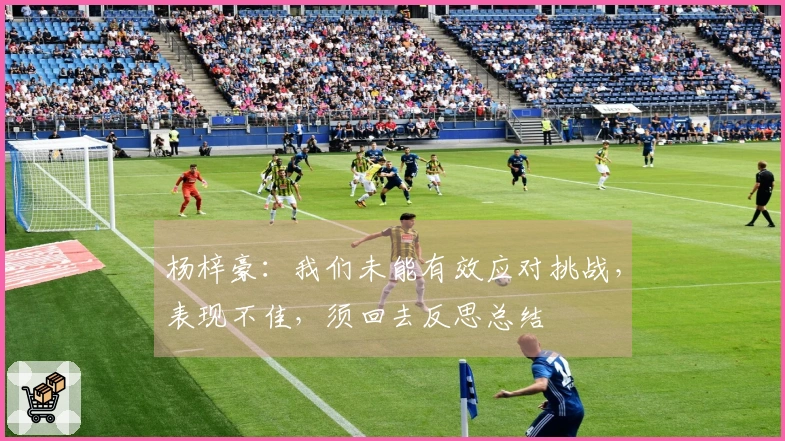 杨梓豪：我们未能有效应对挑战，表现不佳，须回去反思总结