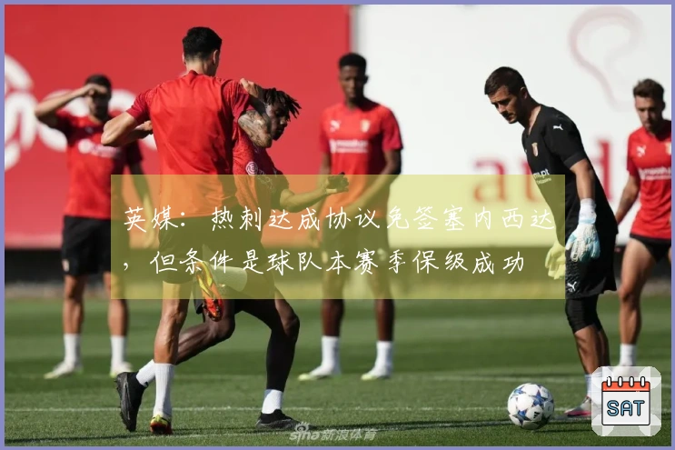 英媒：热刺达成协议免签塞内西达，但条件是球队本赛季保级成功